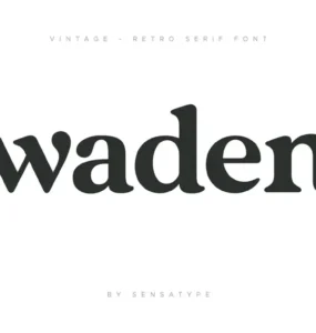 vintage retro serif font