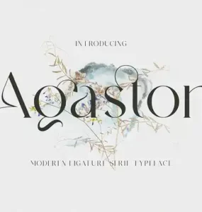 Agaston Modern Serif Font