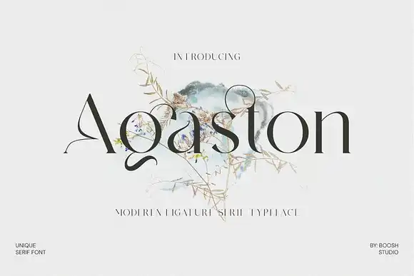 Agaston Modern Serif Font