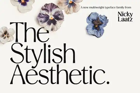 Stylish Aesthetic Fonts