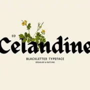 ED Celandine Typeface Font