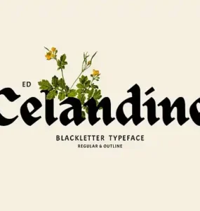 ED Celandine Typeface Font